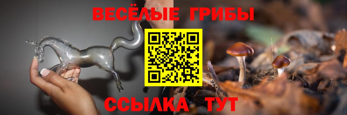 Галлюциногенные грибы Magic Shrooms Советская Гавань